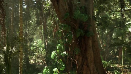 Lush Jungle Landscape in Southern China Featuring Vibrant Foliage and Sunlight
