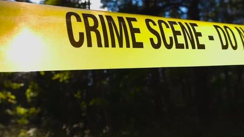 Crime scene tape in front of bokeh blurry forest area with golden sunlight backlighting it from back