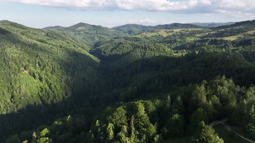 Landscape of the Carpathian. Flight over the summer mountains with green meadows and forest.