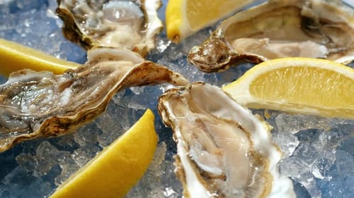 Fresh Raw Oysters with Ice French Restaurant Mediterranean Healthy Sea Food Gourment Luxury Cuisine