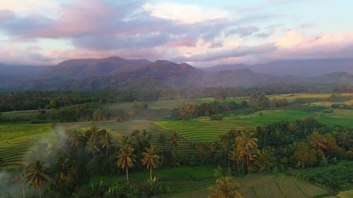 Beautiful morning view indonesia Panorama Landscape paddy fields with beauty color and sky natural
