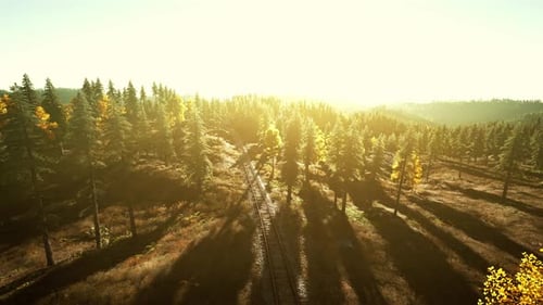 A Stunning Sunset Over a Serene Forest Landscape Viewed From Above