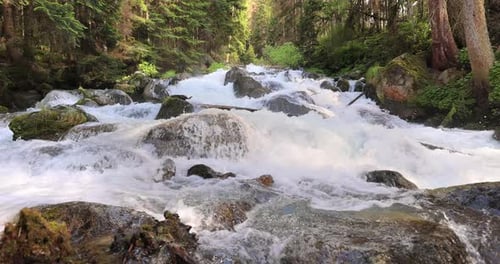 Gebirgsfluss im Wald. Wunderschöne Wildtierlandschaft.