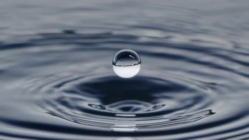 A Beautiful Moment of a Water Drop Captured in Stunning Detail for Everyone to Appreciate