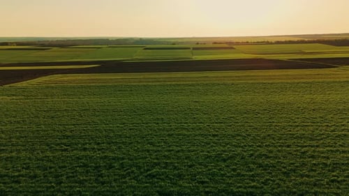 Scenic Aerial View of Lush Green Fields at Sunset