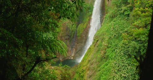 Magnificent tall waterfall framed by thick jungle foliage and water pool below in Costa Rica