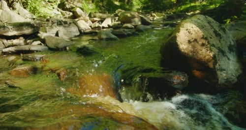 Ein kleiner Wasserfall stürzt sanft über moosbewachsene Steine, umgeben von dichtem Waldgrün und c
