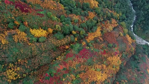 Autumn and the River