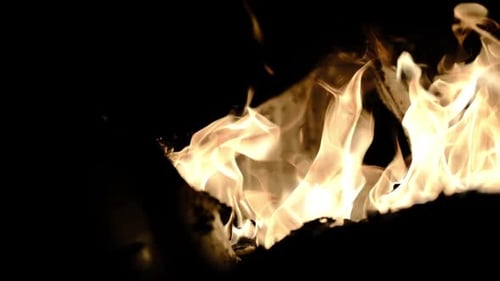Fire flame