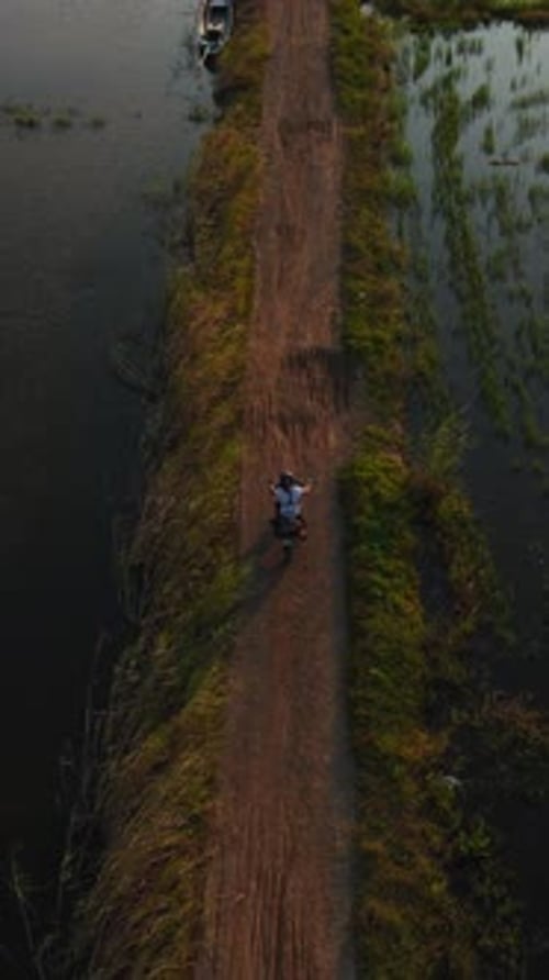 Les rizières inondées créent une mosaïque d'eau et de cultures à proximité d'un vaste plan d'eau