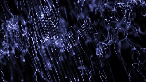 Colorful Abstract Background Loop V6