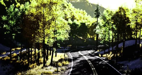 Winding Road Through Vibrant Forest Scenery During Sunny Daylight Hours