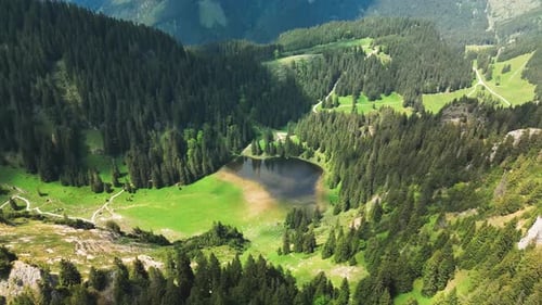 Un pequeño lago forestal