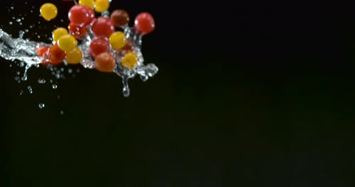 Knusprige, pralle Kirschtomaten fallen mit Wassertröpfchen auf schwarzem Hintergrund, Nahaufnahme