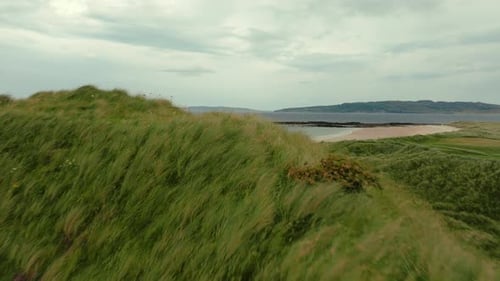 Drone flies over rolling hills covered in tall green grass blowing in the wind of Ireland coastline