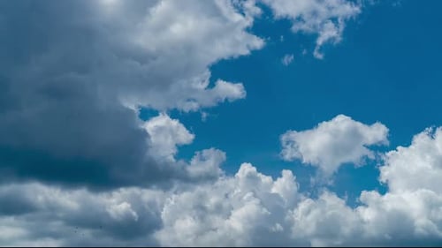 Weiße, weiche Wolken verwandeln sich schnell in graue. Regen, Wolkenbildung am blauen Himmel
, Zeitrappen