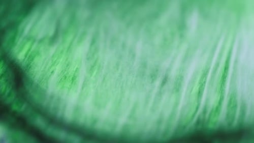 Sparkling Smoke Cloud Shimmering Glitter Green