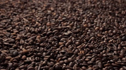 The process of roasting coffee beans. Fresh coffee seeds.