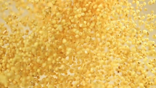 Small Yellow Millet Seeds Falling in Slow Motion
