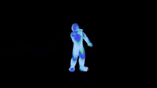 Danse Curly Blue Boy