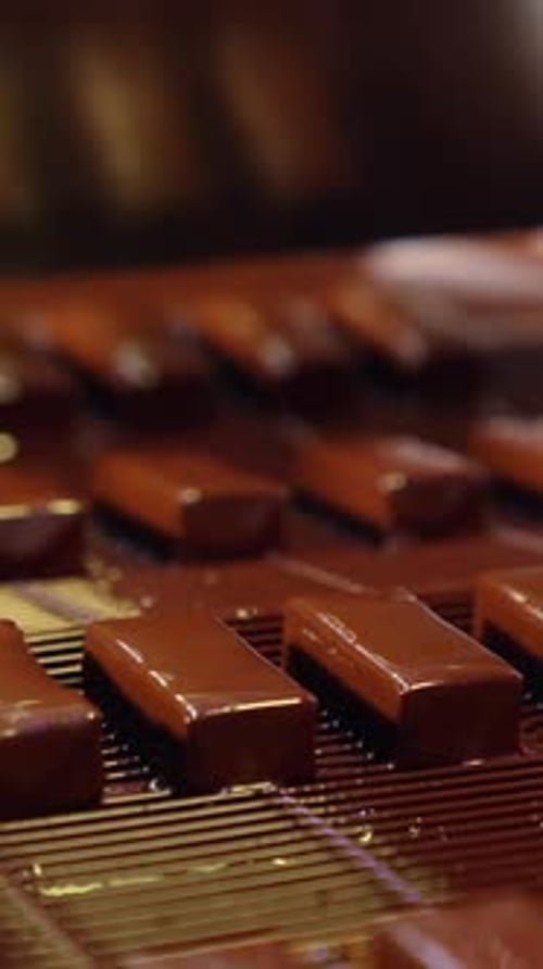 Sweet bars move along the conveyor. Tasty candies freshly-covered with chocolate