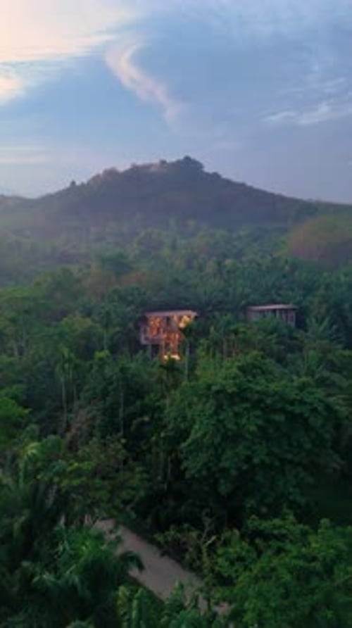 Misty Morning Embrace of Lush Greenery and Distant Mountains in a Serene Tropical Landscape