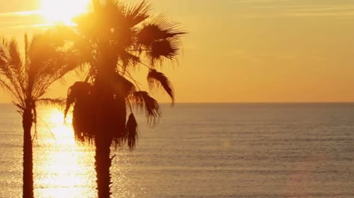 Golden sunset over ocean with palm trees on tropical beach paradise