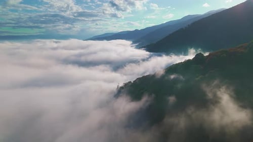 Aerial View of Forested Mountains Covered by Moving Sea of Clouds