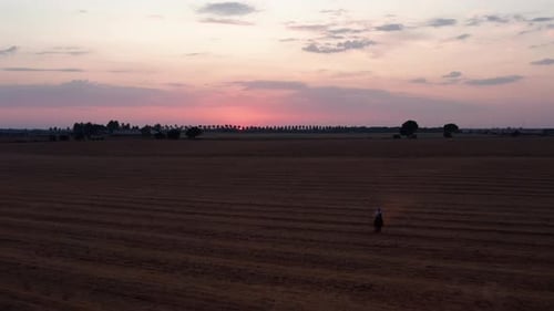 Aerial backwards shot of person riding horse on agricultural Spanish field during sunset. Silhouette