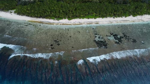 Tropical Beach with Coconut Palm Trees and Ocean with Soft Sunlight Drone View of Fuvahmulah Island