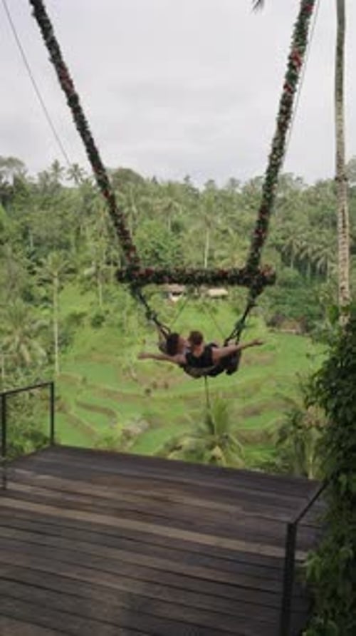 Magical kiss on swings in Bali junlge, back view of romantic couple