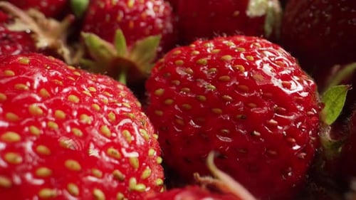 Red Fresh Strawberries Background Natural Juicy Berries Macro Wide Footage