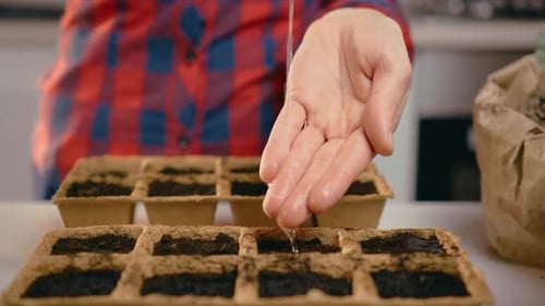 Watering Planted Seeds