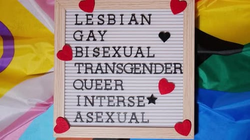 LGBTQ Pride Sign with Sexual Orientation Terms