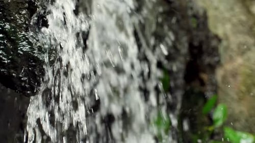 Wasserfall auf Stein im Wald in Zeitlupe.