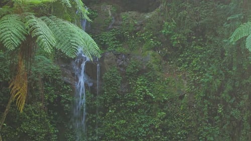 Beautiful jungle waterfall cascading through rocks surrounded by lush green vegetation.