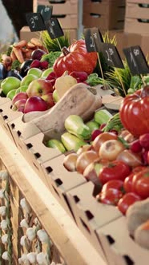 Vertical Video Organic Food Marketplace Stand with Colorful Bio Produce