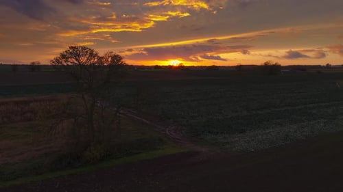 Atmospheric summer autumn sunset with waving wild grass in sunlight, rural meadow or field in