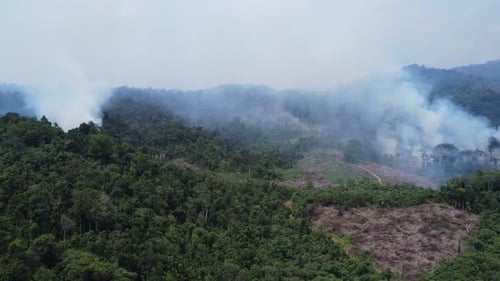 Aerial view of forest fires or forest burning to clear land in the mountainous areas of Kalimantan