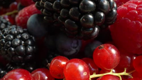 Closeup of Colorful Fresh Berries