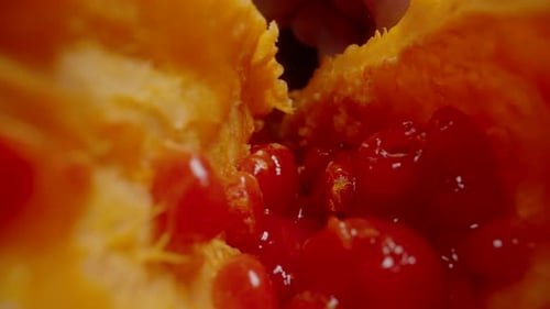 Très gros plan des graines rouges brillantes à l'intérieur du melon amer, mettant en valeur les détails juteux avec un