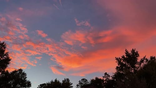 Golden Sunset Clouds in Tranquil Blue Sky Over Tree Tops, panning view