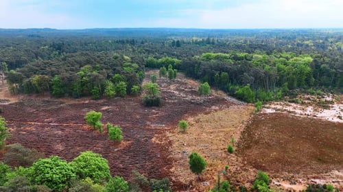 Dry area with no vegetation among the lush green forests.