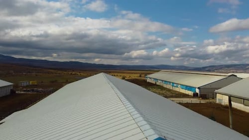 modern cow farm