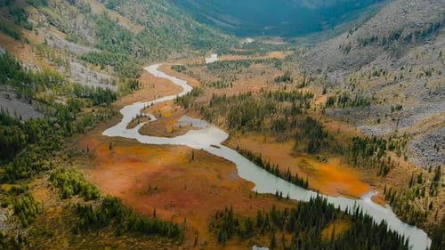 Aerial View of Meandering River in Autumnal Forest Valley Media
