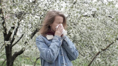 Woman sneezing into a handkerchief, spring allergy