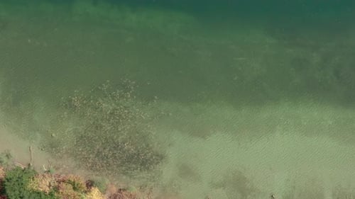 Beautiful top view at a torquise water lake with beach nearby autumn colored trees in fall season.