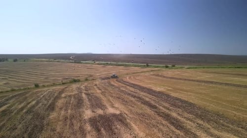 Tractor working on the field doing tillage with cultivator