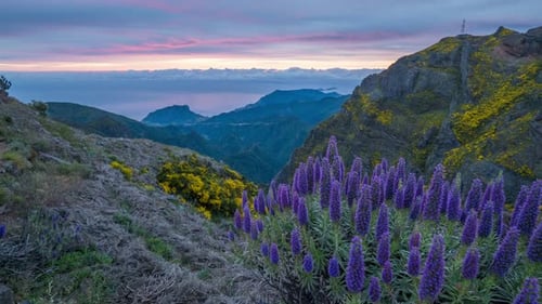 Timelapse Near Pico Do Arieiro Portugal on Sunrise