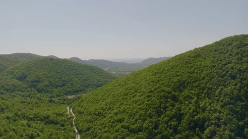 Aerial Video Footage From a Drone of a Green Forest Valley